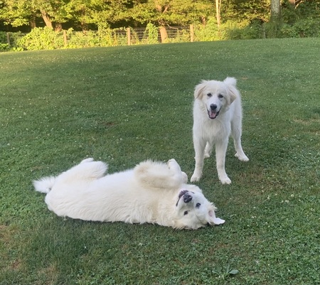 Razz & sister Sunni