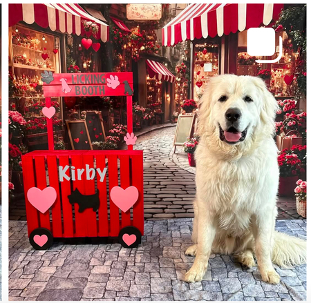 Entry image for Kirby. Clicking this image will show a larger photo