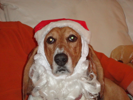 Lola