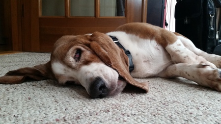 Mugsy