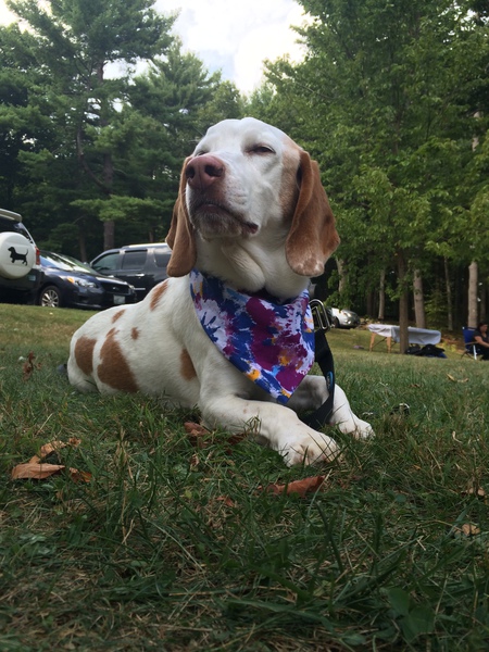 Baxter