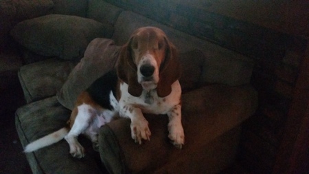 Buster