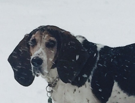 Ethel 