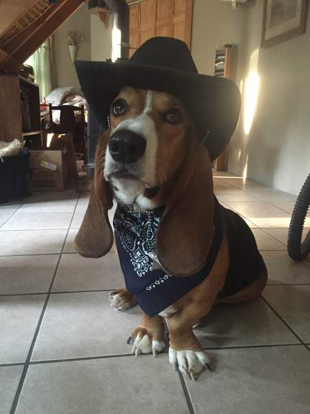 Duke