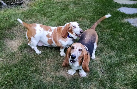 Ruby and Pearl
