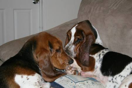Jack & Emma