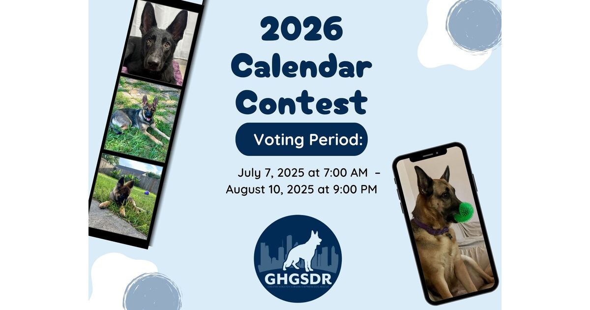 Homepage Greater Houston German Shepherd Dog Rescue GHGSDR 2026