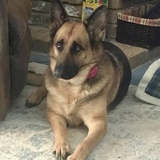 Entry image for Millie