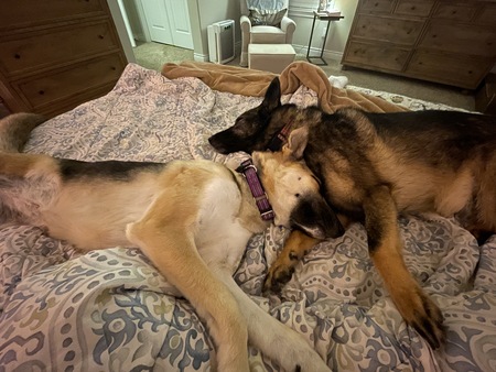 Penny and Delilah
