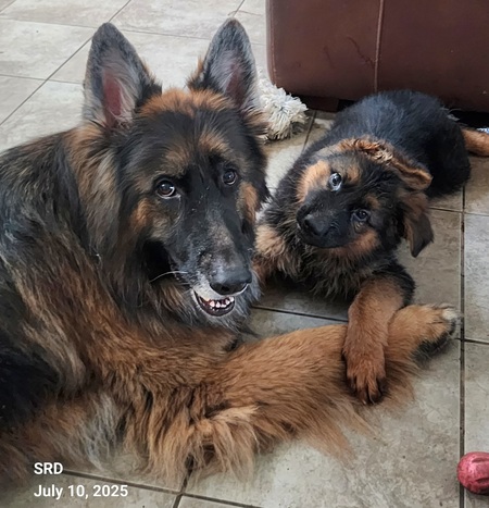Finn and Reign