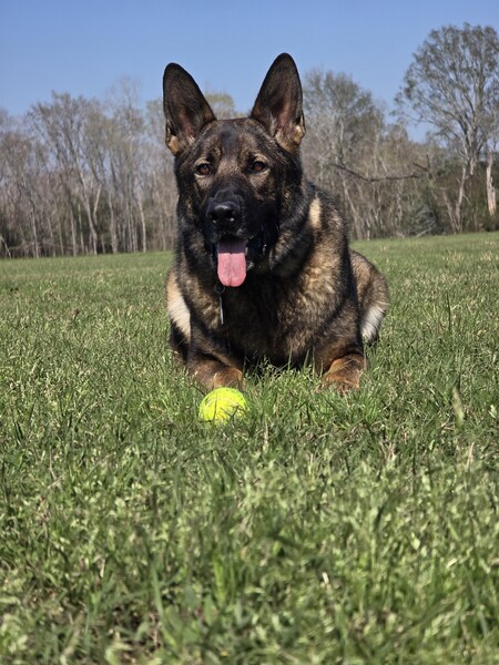 Jax