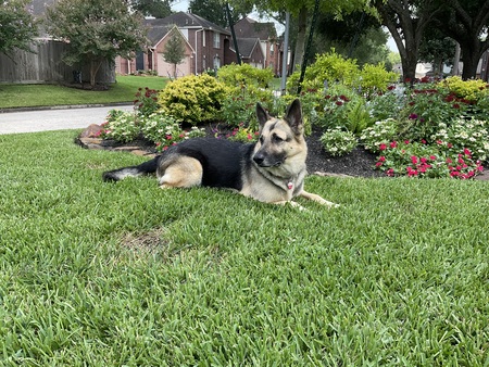 Pep