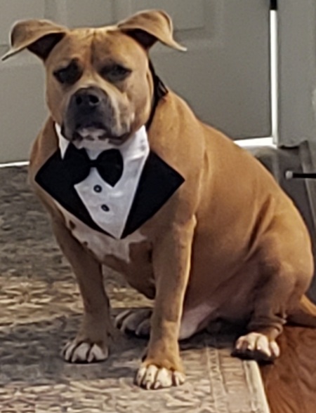Roscoe