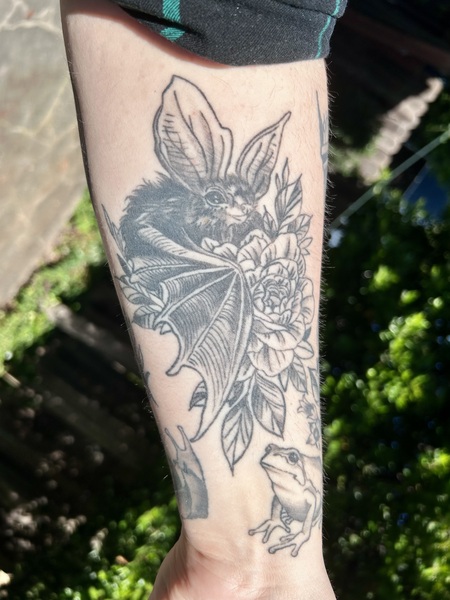 Entry image for Morgan. Clicking this image will show a larger photo