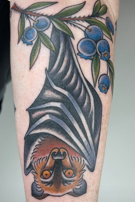 Entry image for Misti. Clicking this image will show a larger photo