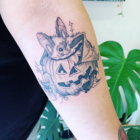 Entry image for Ash. Clicking this image will show a larger photo