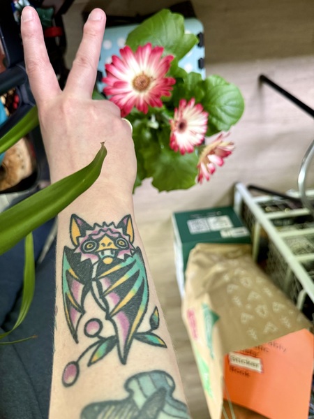 Entry image for Macy. Clicking this image will show a larger photo