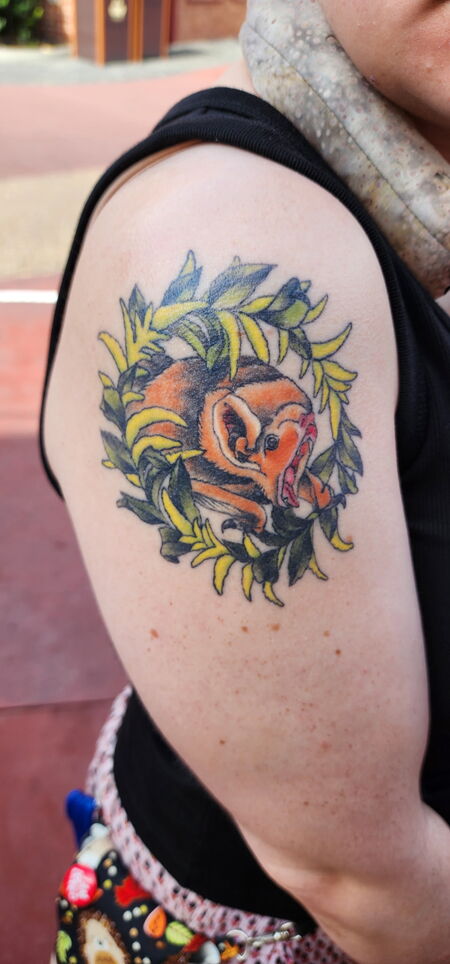 Entry image for Gia. Clicking this image will show a larger photo