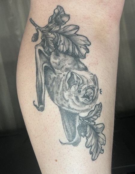 Entry image for Aubrey. Clicking this image will show a larger photo