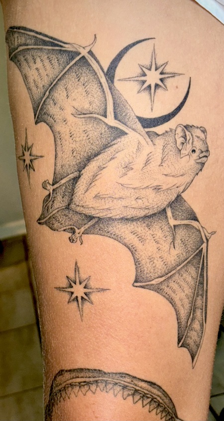 Entry image for Misty. Clicking this image will show a larger photo