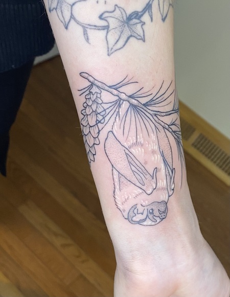 Entry image for Megg. Clicking this image will show a larger photo