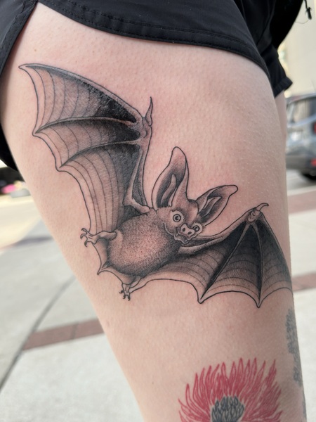 Entry image for Maddie. Clicking this image will show a larger photo