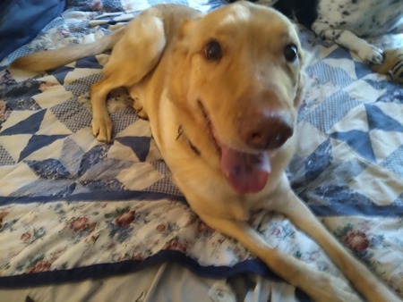 Sammie 