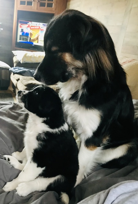 Prince & Sissy