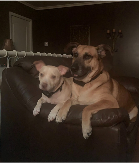 Pako (Left) Duke (Right)