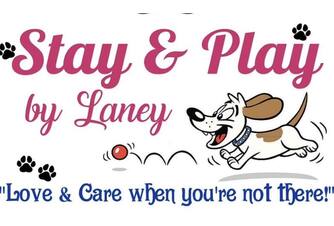Stay & Play