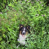 Entry image for Kaiya