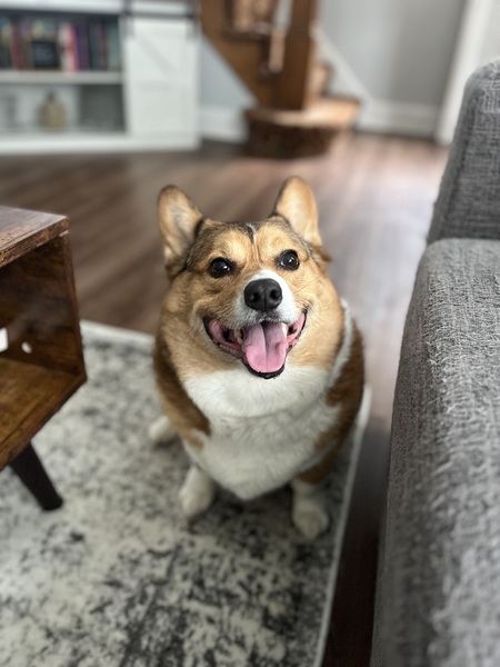 Java