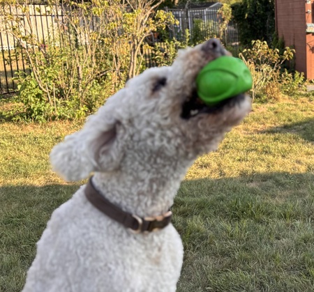 Tucker