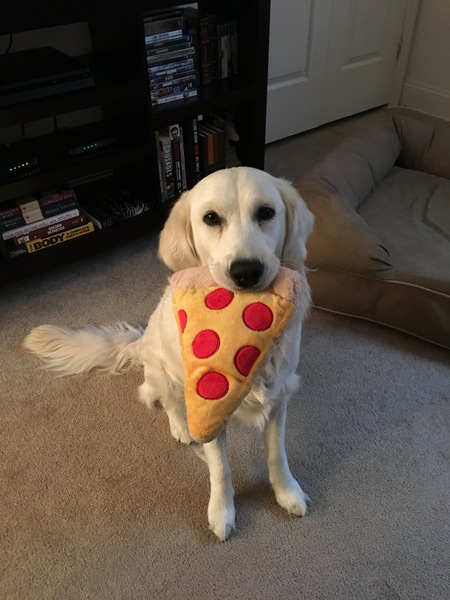 Harper