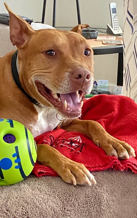 Finn