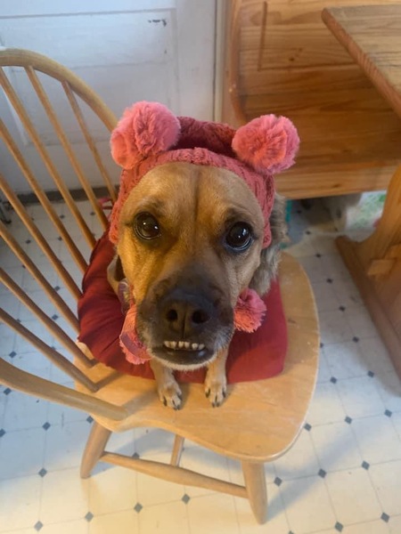 Zoey