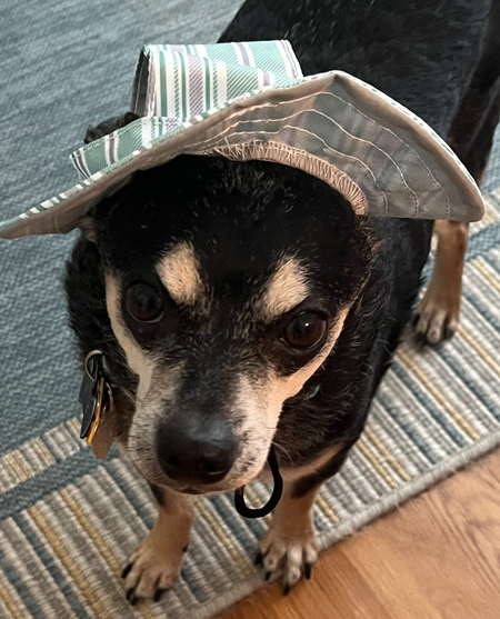 Bruno
