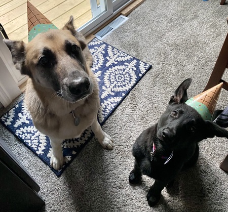 Stella & Rosie