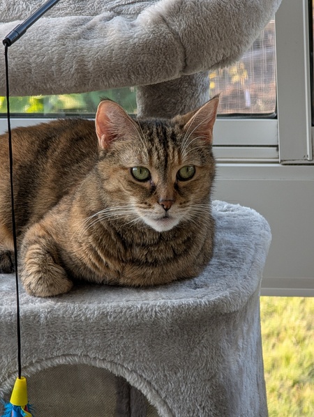 Emma Pretzel 