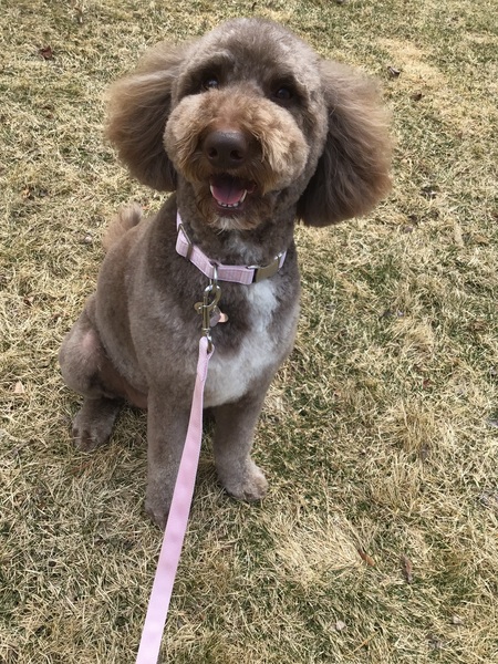 Bailey