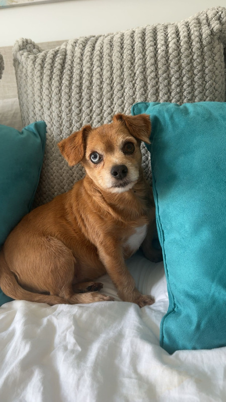 Dakota