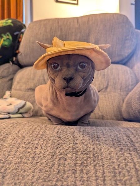 Marvin Beans