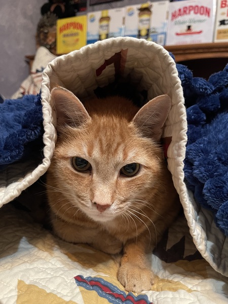Jonesy