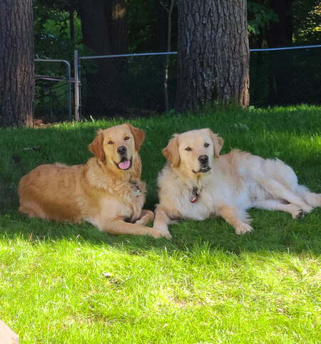 Marley & Jax