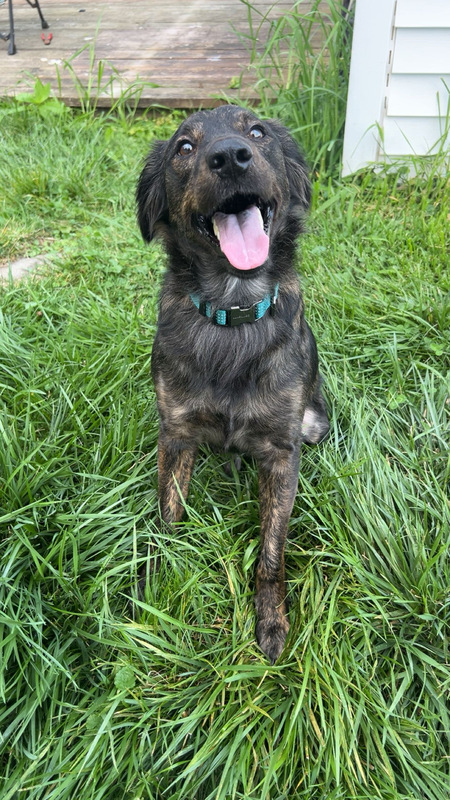 Marco