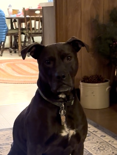 Zoey
