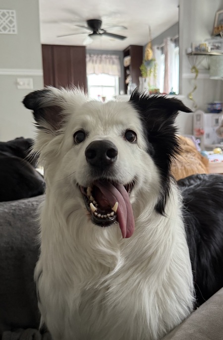 Murphy