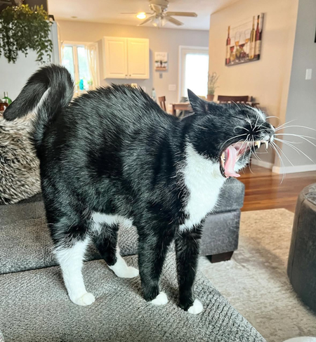 Barnaby