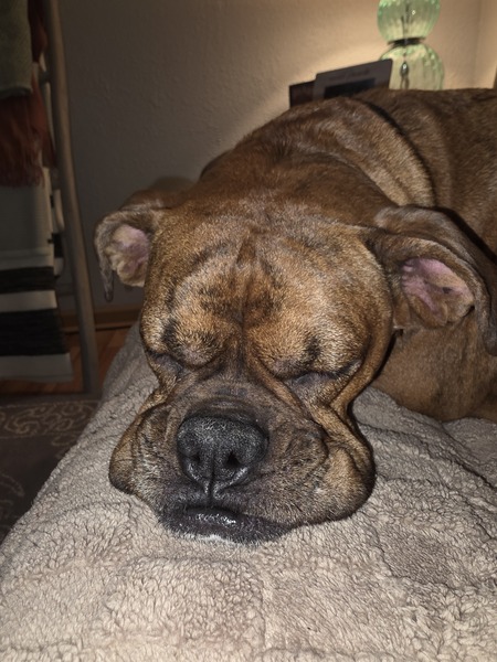 Mia
