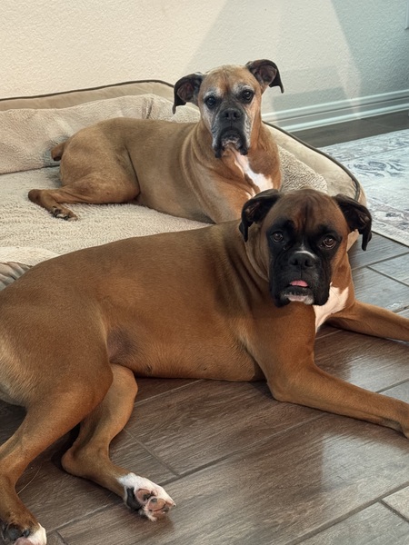 Opie & Molly